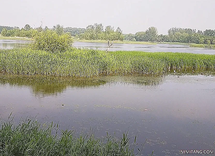 沈阳景点:西龙湖生态园