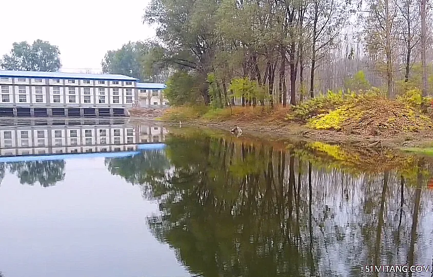 天津旅游景点:青龙湾森林公园