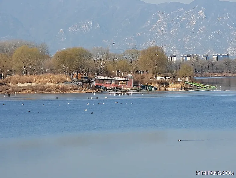 天津旅游景点:白庄子生态湿地