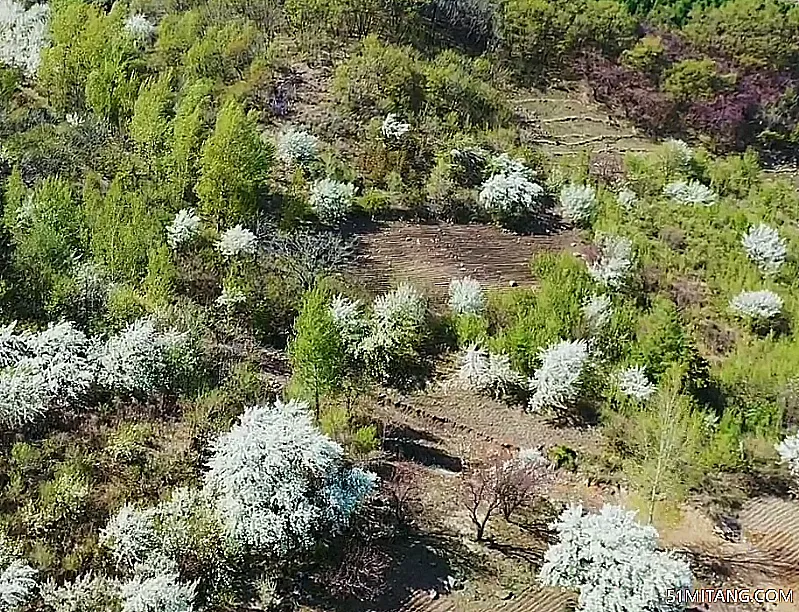 铁岭景点:樊梨花谷