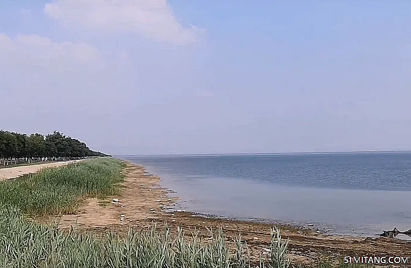 天津旅游景点:燕王湖湿地生态园