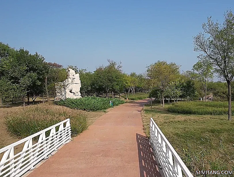 天津旅游景点:官港森林公园