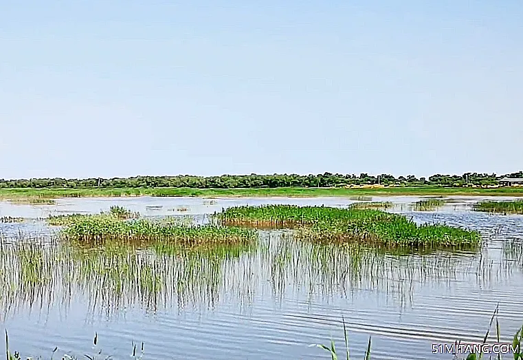 天津旅游景点:泰达西区湿地公园