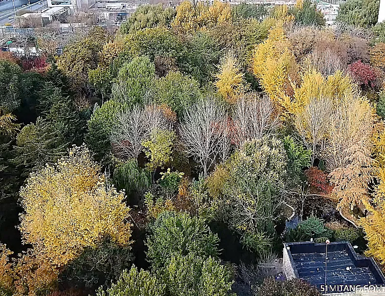 沈阳景点:园林植物标本公园