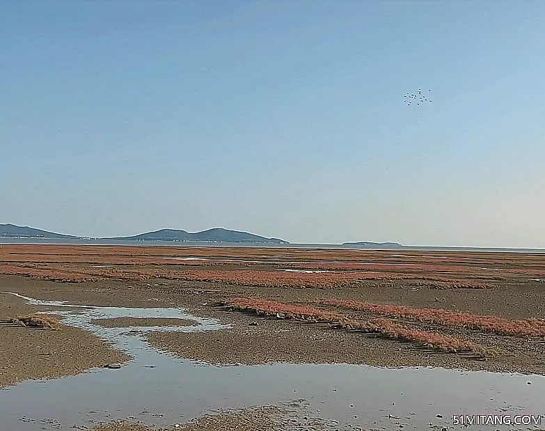 葫芦岛景点:兴城红海滩