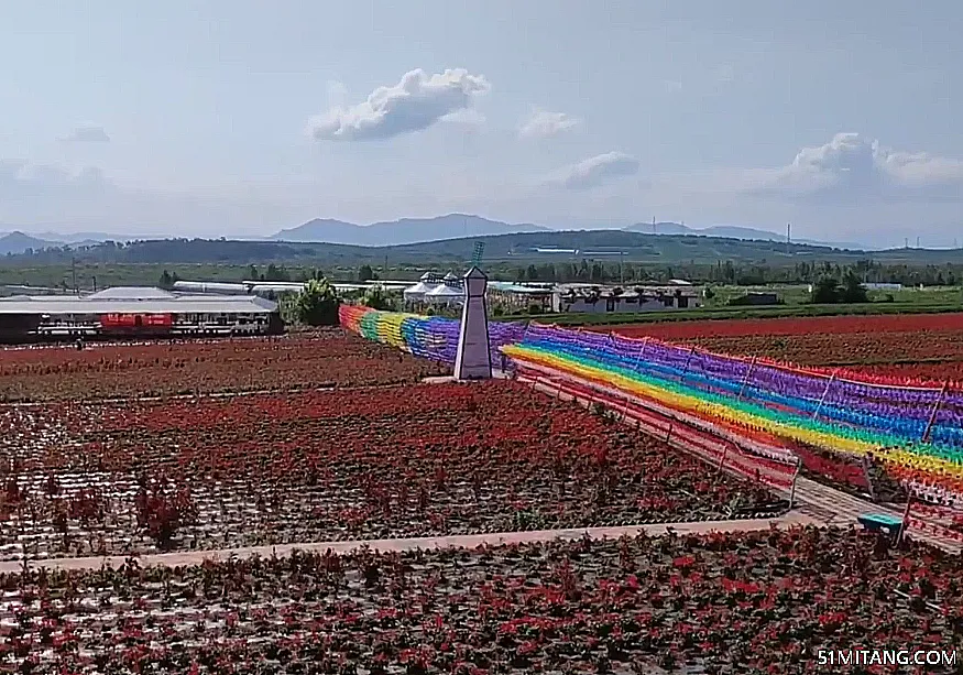 朝阳景点:润泽花海