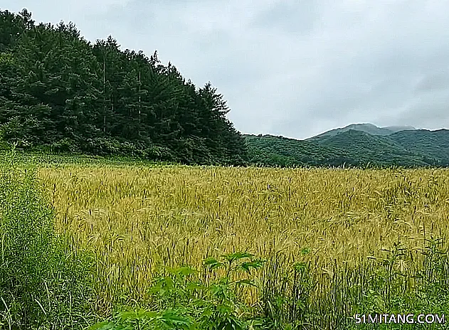 辽阳景点:雪场绿色农场