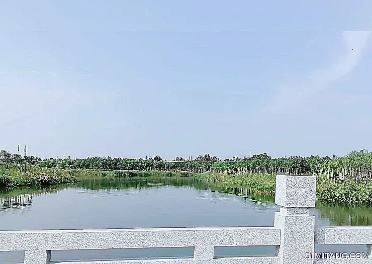 天津旅游景点:大唐湿地乐园