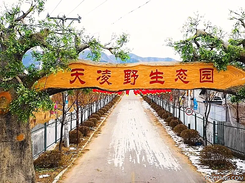 朝阳景点:天凌野生农业生态园