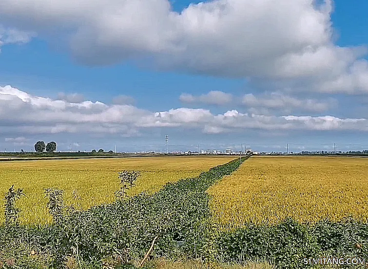 盘锦景点:红海滩渔米之家农家乐