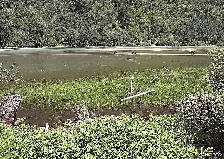 铁岭景点:月亮湖湿地