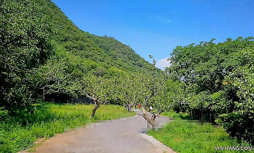 北京旅游景点:东山贡梨园