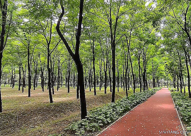 北京旅游景点:东坝郊野综合娱乐公园