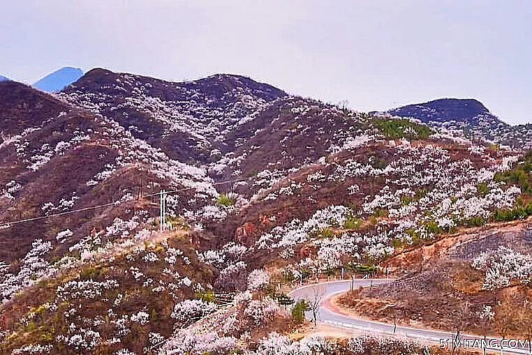 北京旅游景点:流村镇菩萨鹿民俗村