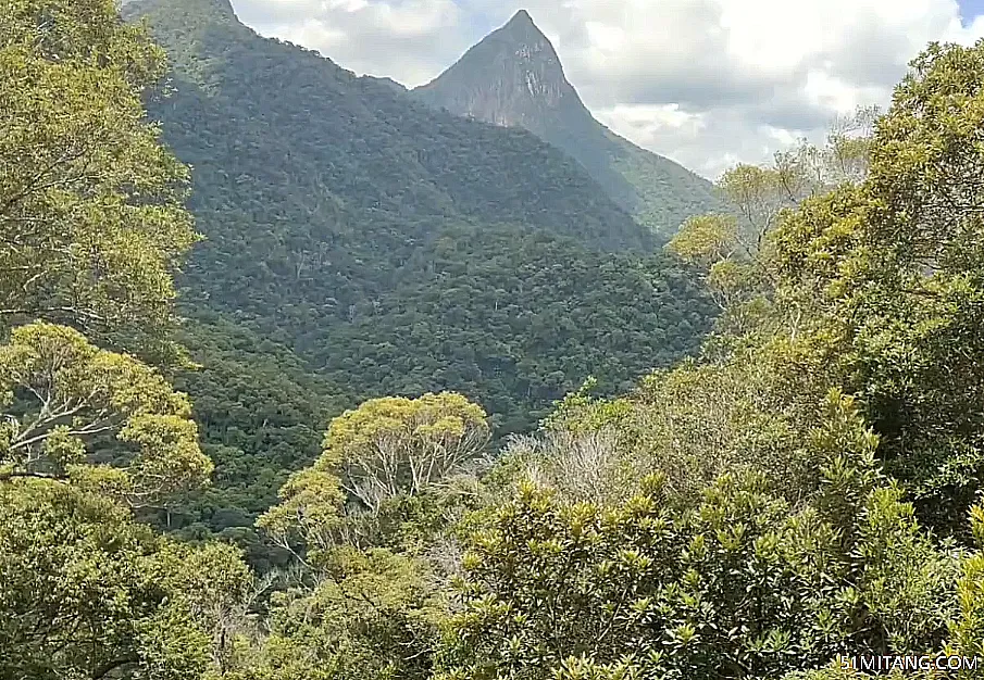 海南旅游景点:卡法林场