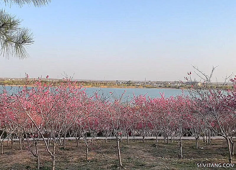 济宁景点:金平湖风景区