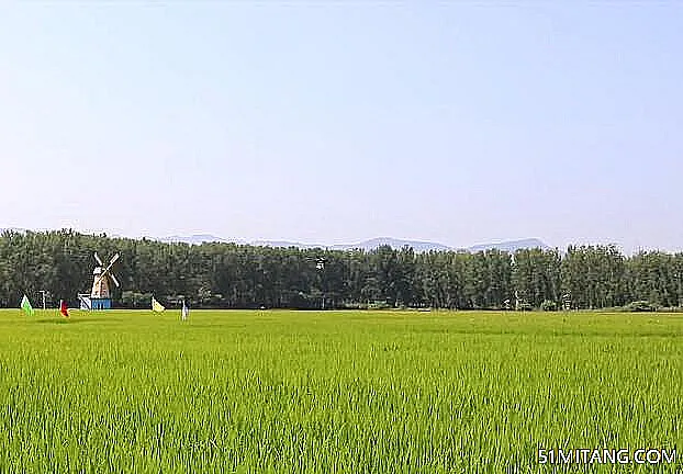 北京旅游景点:海淀温泉村观光采摘园