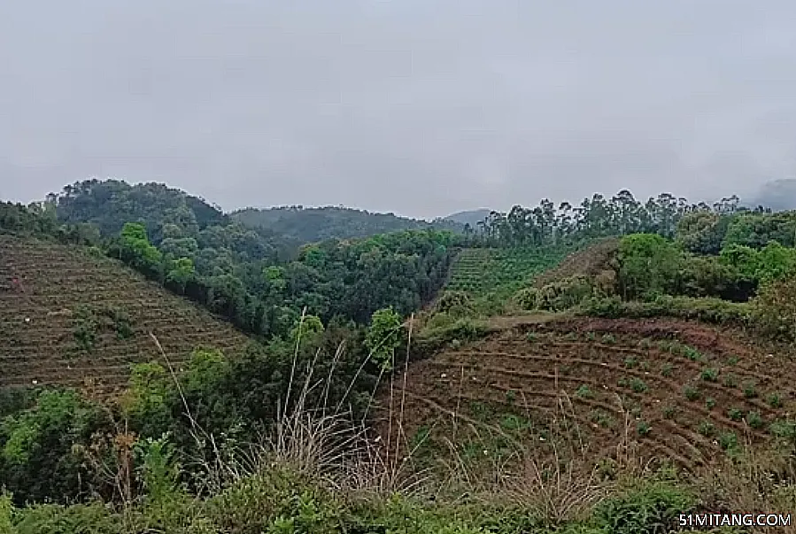 海南旅游景点:高山岭