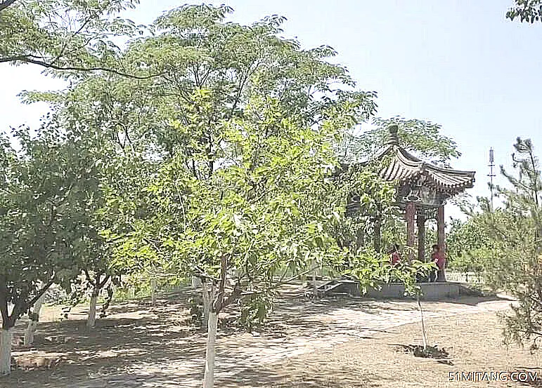 北京旅游景点:前野厂御林古桑园