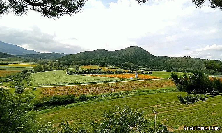 北京旅游景点:延庆四季花海