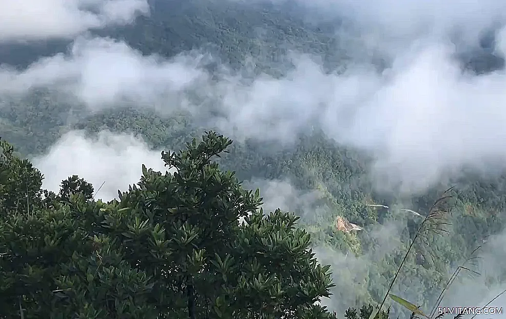 海南旅游景点:尖峰岭天池