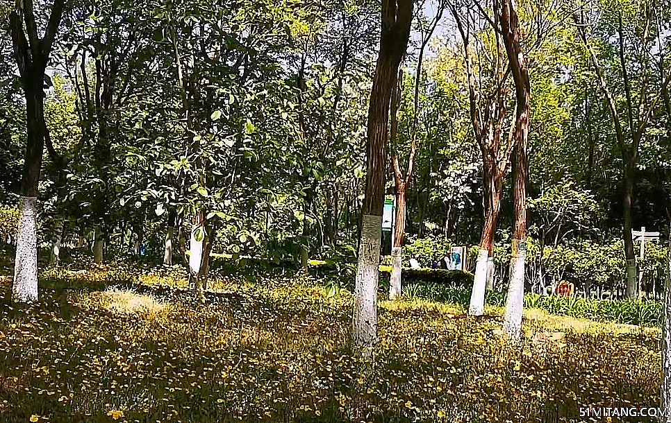 北京旅游景点:西毓顺公园