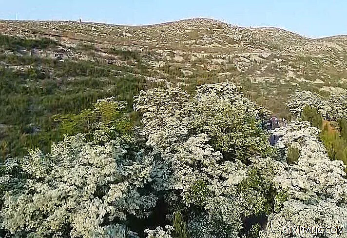 潍坊景点:雀山风景区