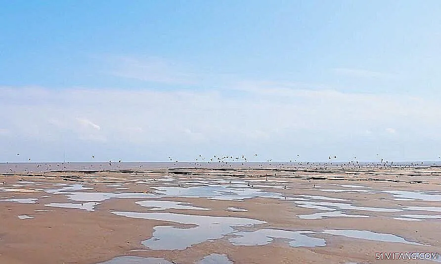 盐城景点:条子泥景区