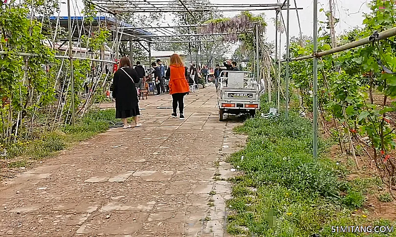 北京旅游景点:老泉口观光采摘园