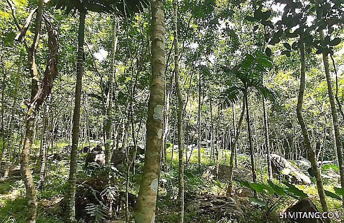 海南旅游景点:呀诺达梦幻谷