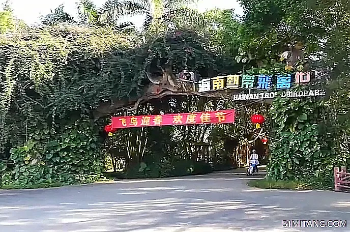 海南旅游景点:热带飞禽世界