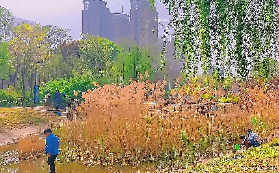 北京旅游景点:世纪森林公园