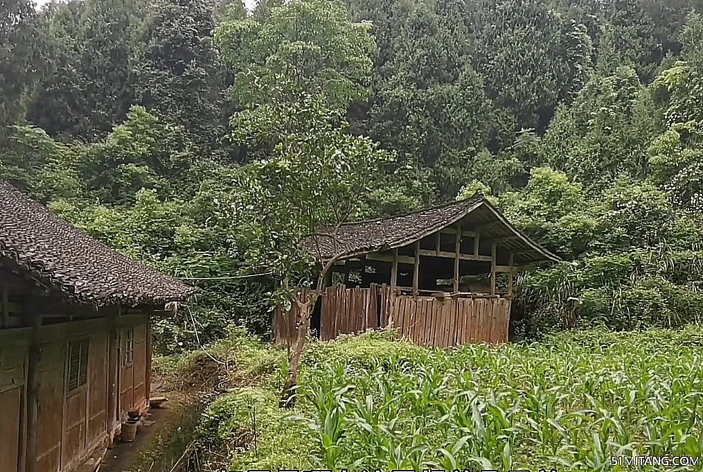 北京旅游景点:星月农家院