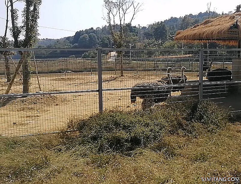 抚州景点:仙盖山野生动物园