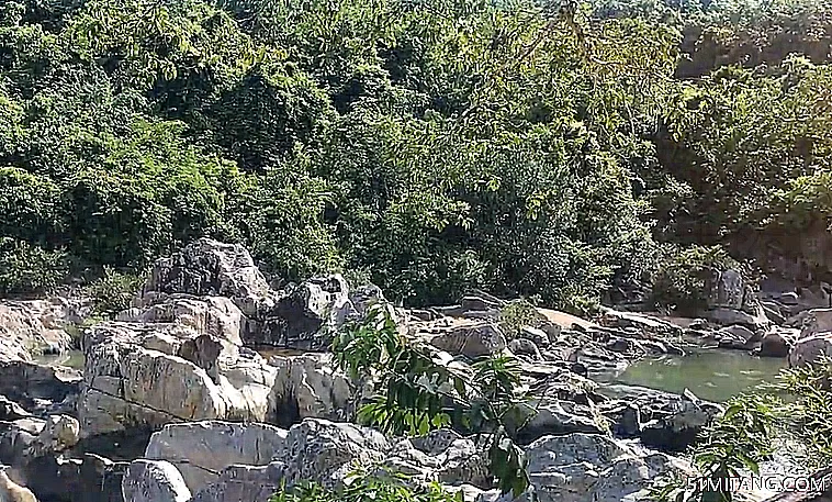 海南旅游景点:呀诺达三道谷