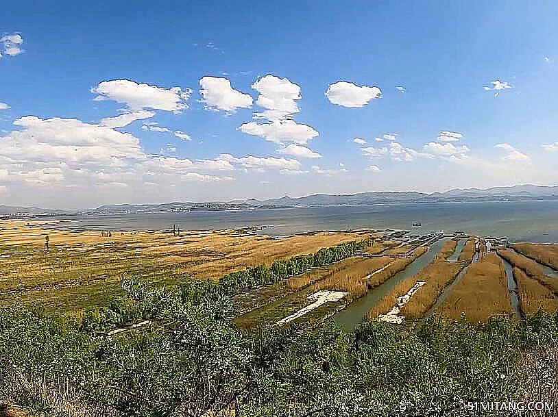 毕节景点:草海景区(国家4A级)