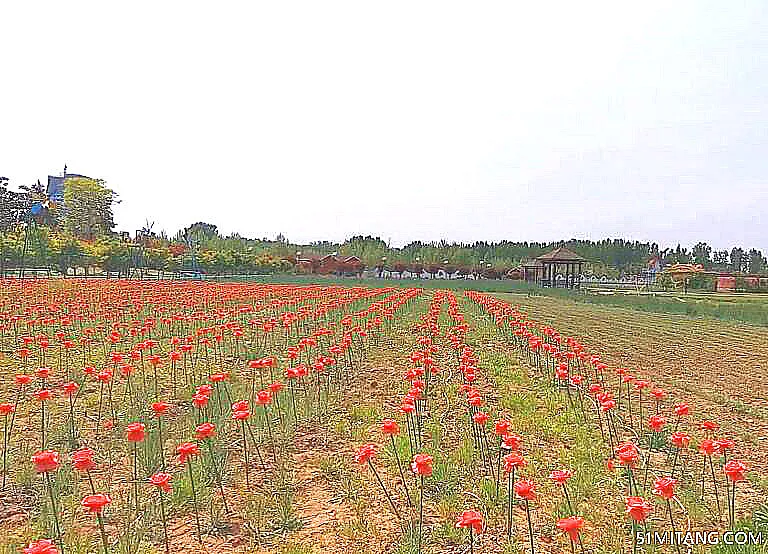 临沂景点:立晨农庄