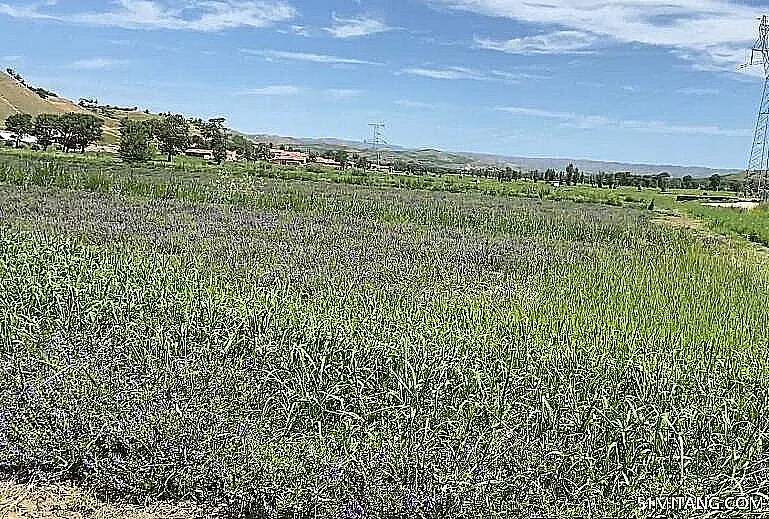 北京旅游景点:斋堂黄芩仙谷