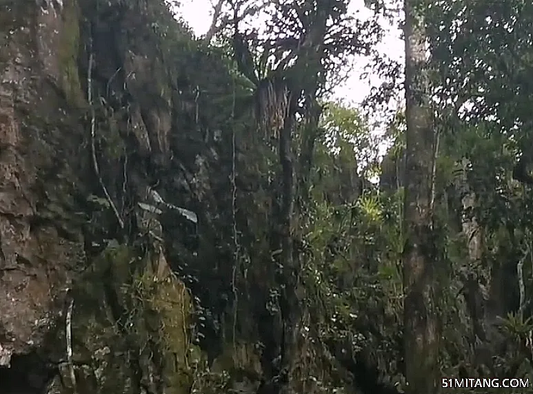 海南旅游景点:保亭千龙洞