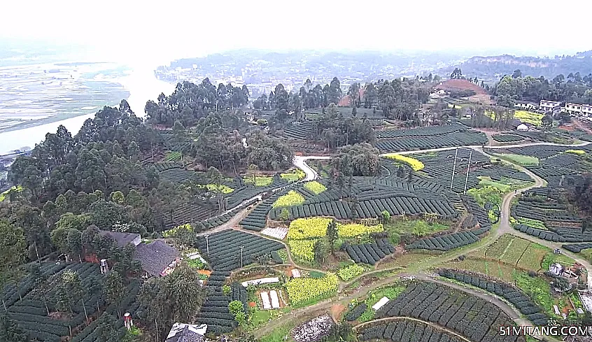 海南旅游景点:高龙村