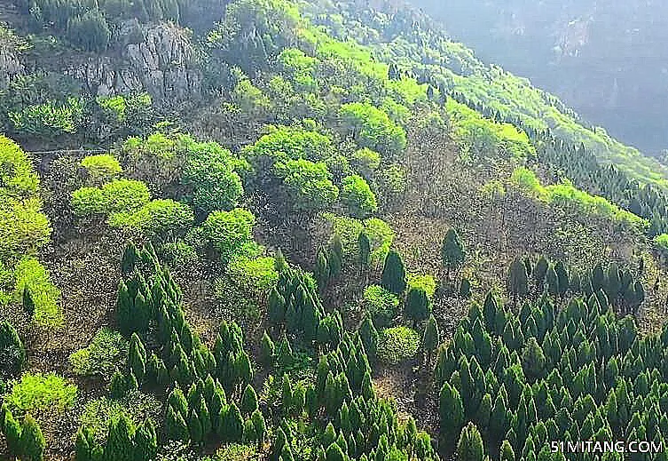 济宁景点:青龙山森林公园