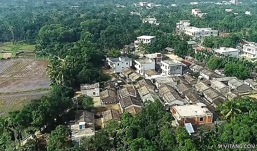 海南旅游景点:高林村