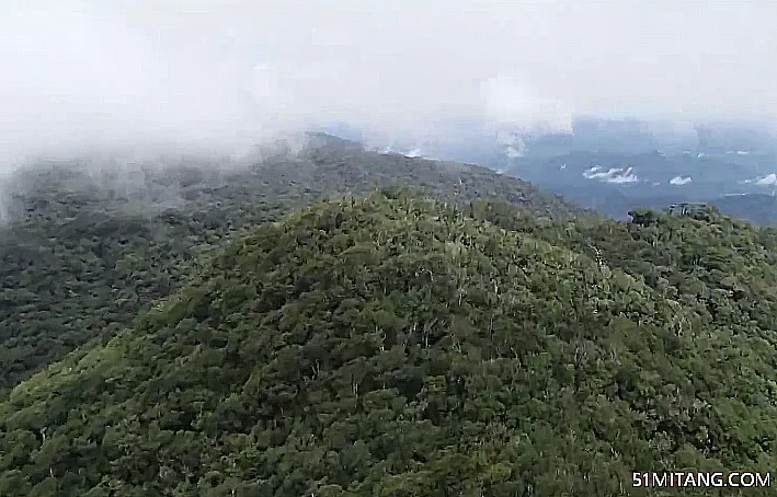 海南旅游景点:鹦哥岭自然保护区