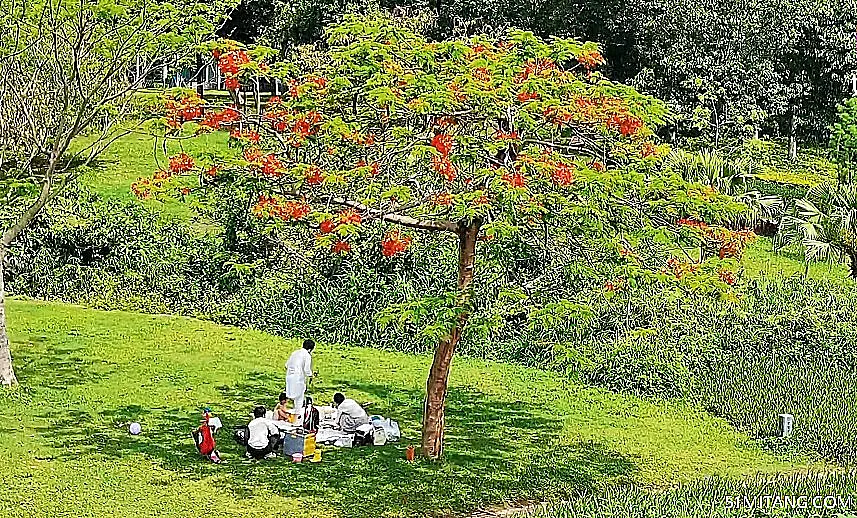 北京旅游景点:北京姚家园休闲健身