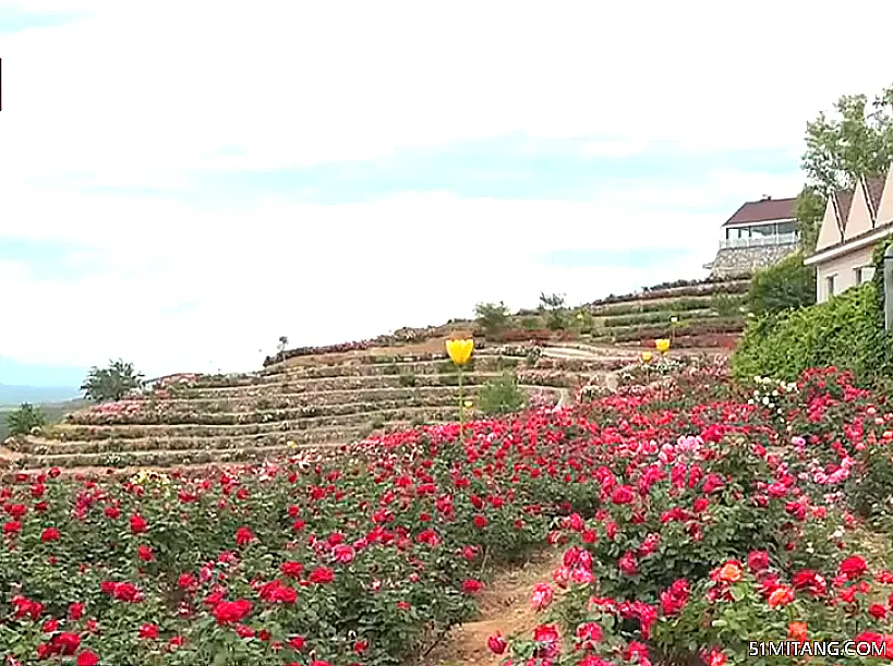 北京旅游景点:蔡家洼农业观光园