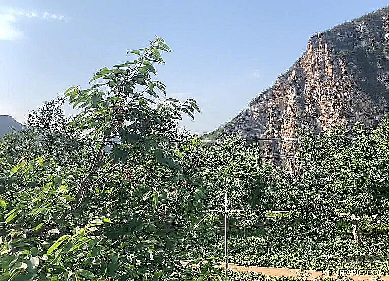 北京旅游景点:樱桃幽谷