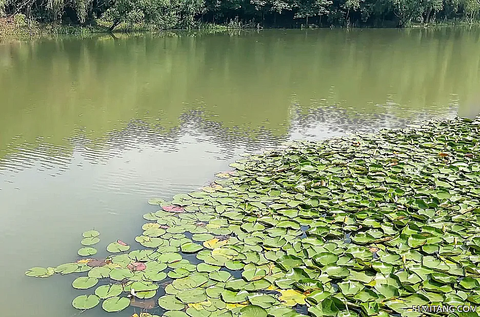 北京旅游景点:永兴河湿地公园