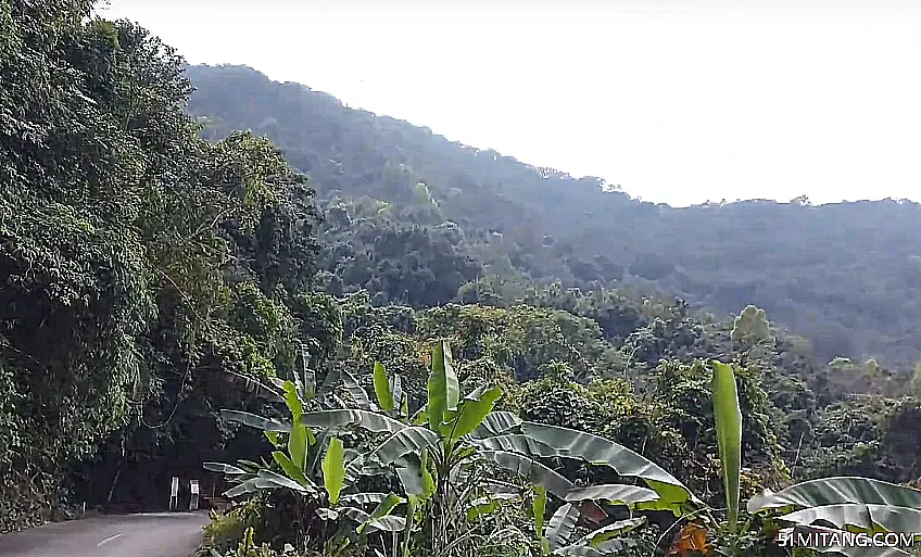 海南旅游景点:霸王岭