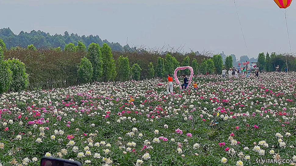 成都景点:鲜花山谷