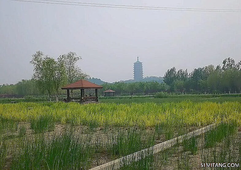 北京旅游景点:永定河森林公园